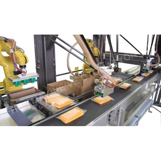 Paketleme Robotları