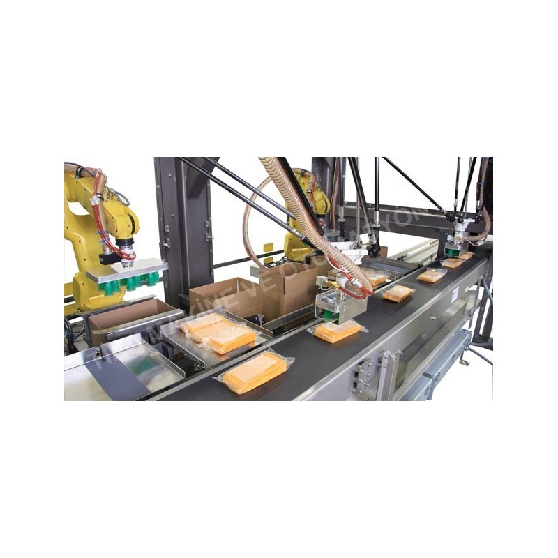 Paketleme Robotları